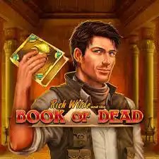 Try Book of Dead slot by Play'n GO on getyourmug.coffee – logo image